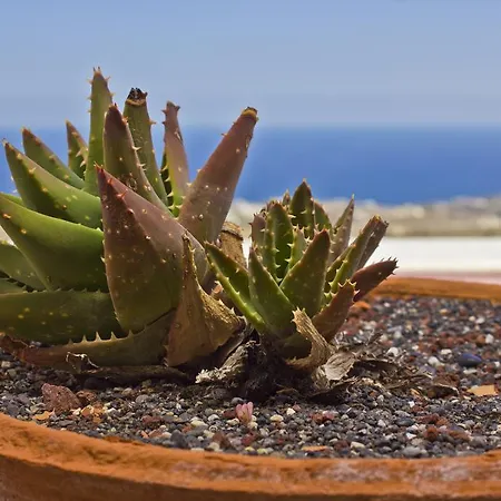 Nectarios - & Adults Only * 산토리니